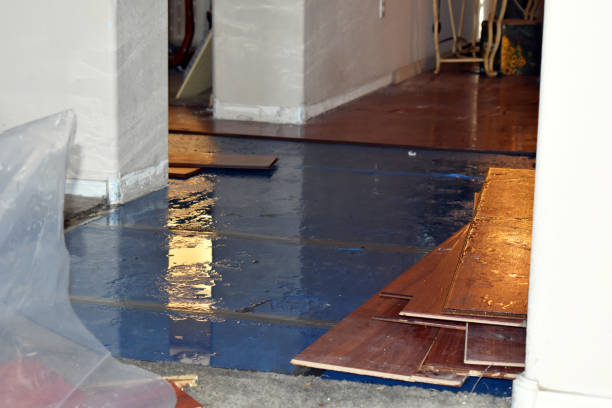 Professional Water Damage Repair technician working in Smithfield, RI